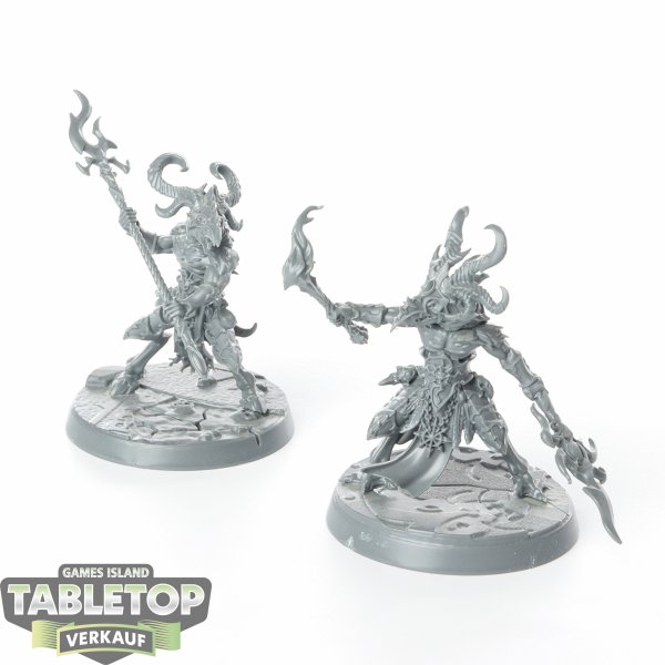 Disciples of Tzeentch - 2x Tzaangor Enlightened - unbemalt