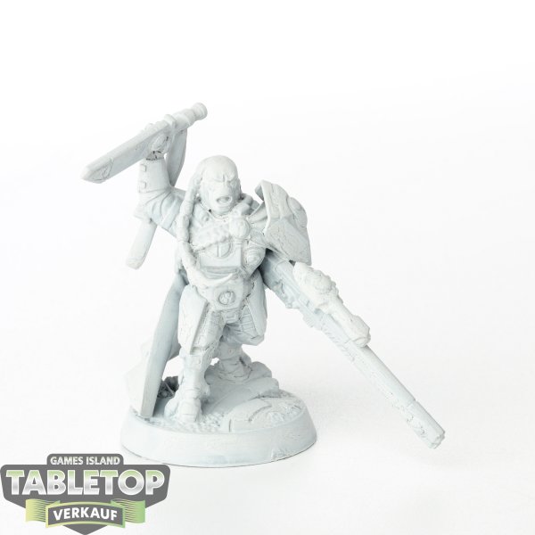 Tau Empire - Cadre Fireblade - grundiert