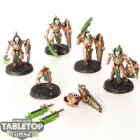 Necrons - 5x Lychguard - bemalt