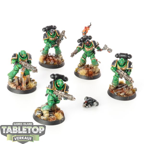 Salamanders - 5x Primaris Intercessors - bemalt