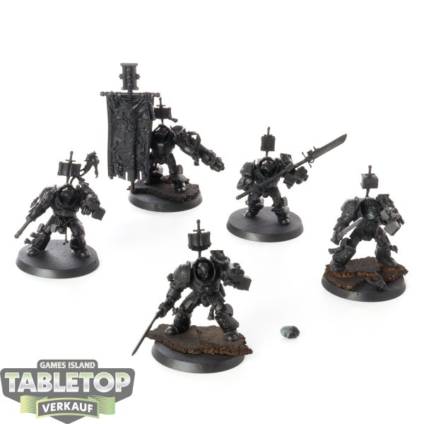 Grey Knights - 5x Grey Knights Paladins - grundiert