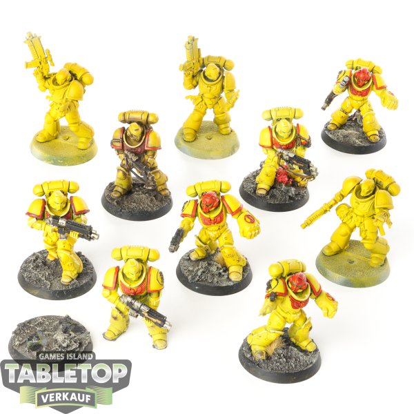 Imperial Fists - 10x Primaris Intercessors - bemalt