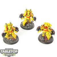 Space Marines - 3x Primaris Aggressors - bemalt