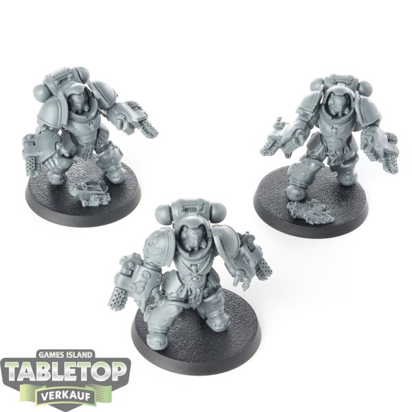 Space Marines - 3x Primaris Aggressors - bemalt