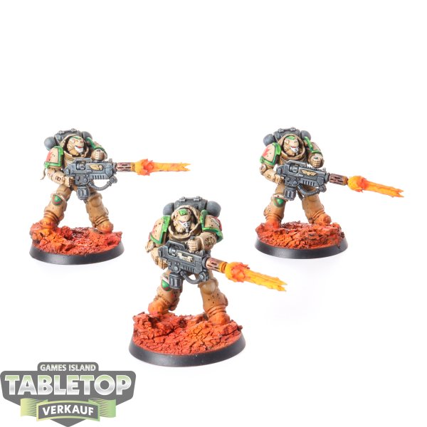 Dark Angels - 3x Primaris Eradicators - bemalt