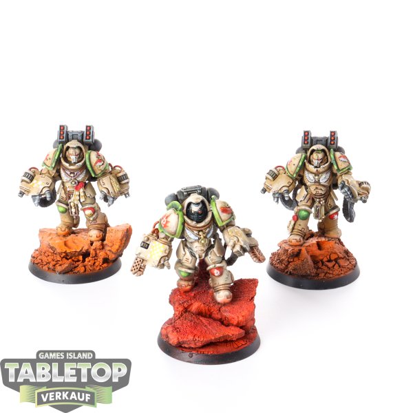 Dark Angels - 3x Primaris Aggressors - bemalt