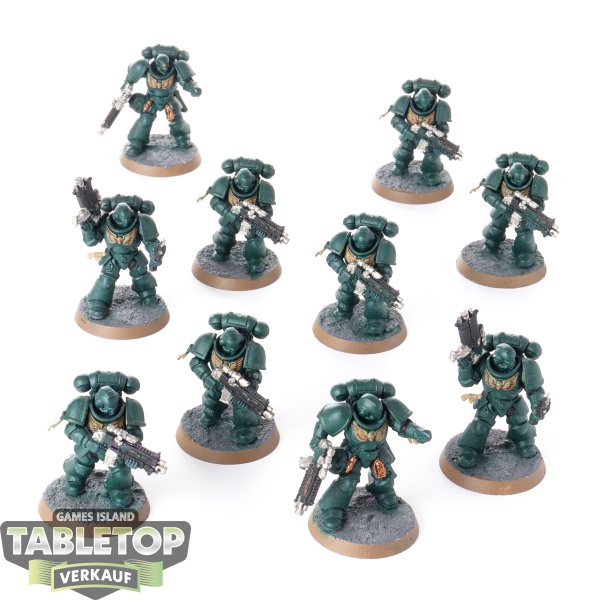 Space Marines - 10x Primaris Intercessors - bemalt