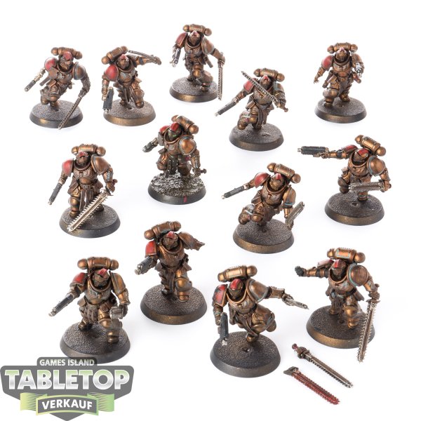 Space Marines - 13x Assault Intercessors - bemalt