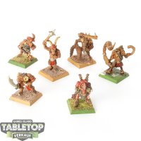 Beastmen Brayherds - 6x Gors Klassisch - bemalt