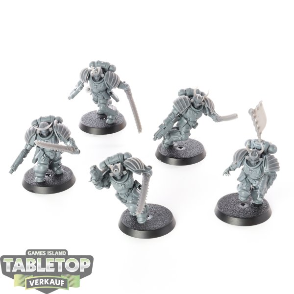 Space Marines - 5 x Assault Intercessors - unbemalt