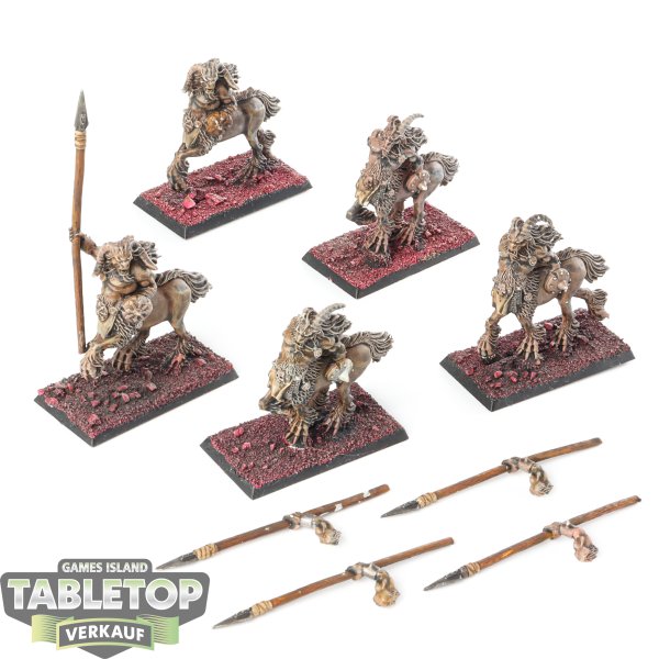 Beastmen Brayherds - 5x Centigors - bemalt