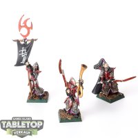 Dark Elves - 3x Executioners Command klassisch - bemalt