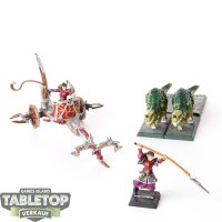 Dark Elves - Cold One Chariot klassisch - bemalt