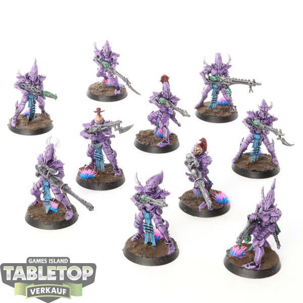 Drukhari - 10x Kabalite Warriors - bemalt