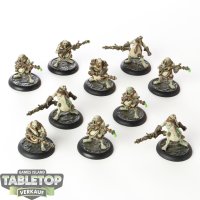 Cryx - 10x Bile Thralls Unit - bemalt