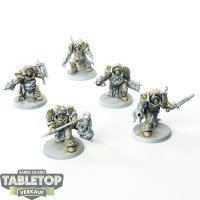 Death Guard - 5 x Blightlord Terminators - teilweise bemalt