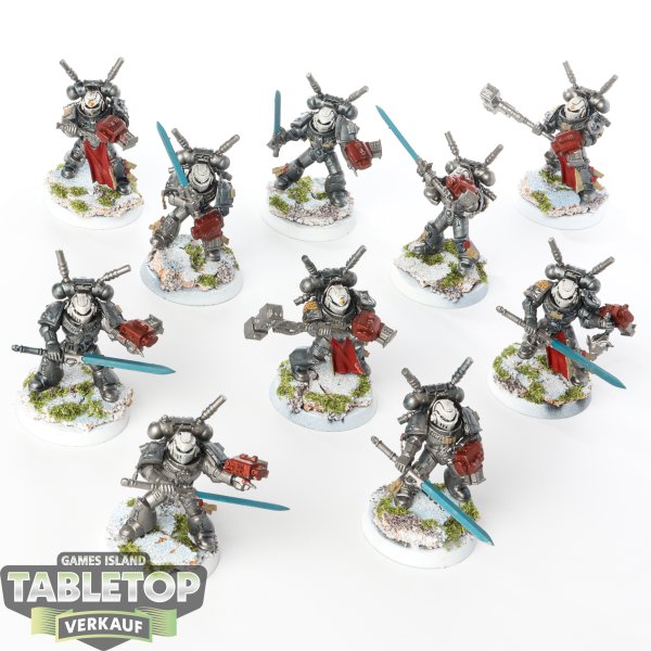 Grey Knights - 10 x Grey Knights Interceptor Squad - bemalt