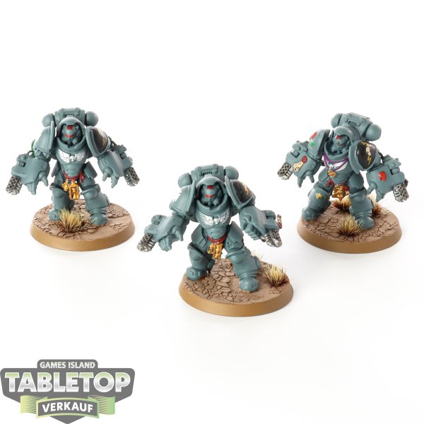 Space Marines - 3x Primaris Aggressors - bemalt