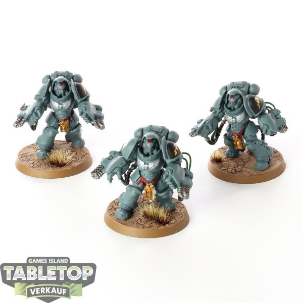 Space Marines - 3x Primaris Aggressors - bemalt
