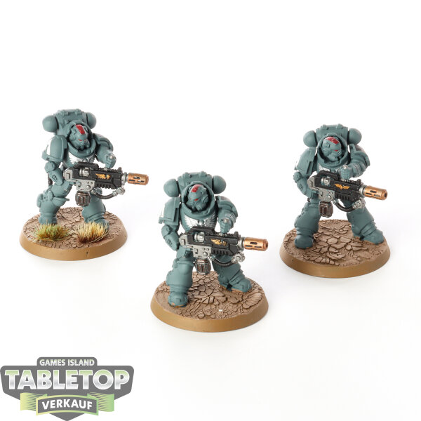 Space Marines - 3x Primaris Eradicators - bemalt