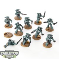 Space Marines - 10x Assault Intercessors - bemalt