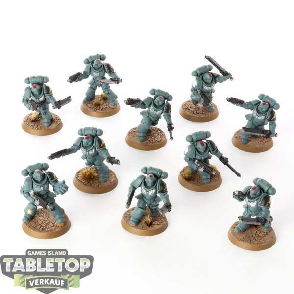 Space Marines - 10x Assault Intercessors - bemalt