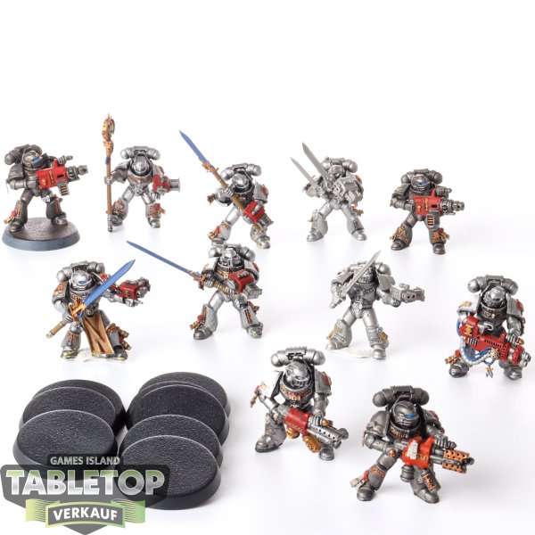 Grey Knights - 11x Purgation Squad - bemalt