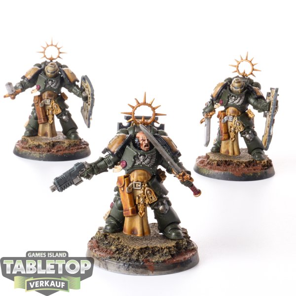 Space Marines - 3x Bladeguard Veterans - bemalt