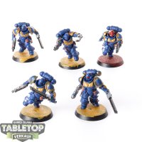 Space Marines - 5x Assault Intercessors - bemalt