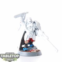 Tau Empire - Cadre Fireblade - teilweise bemalt