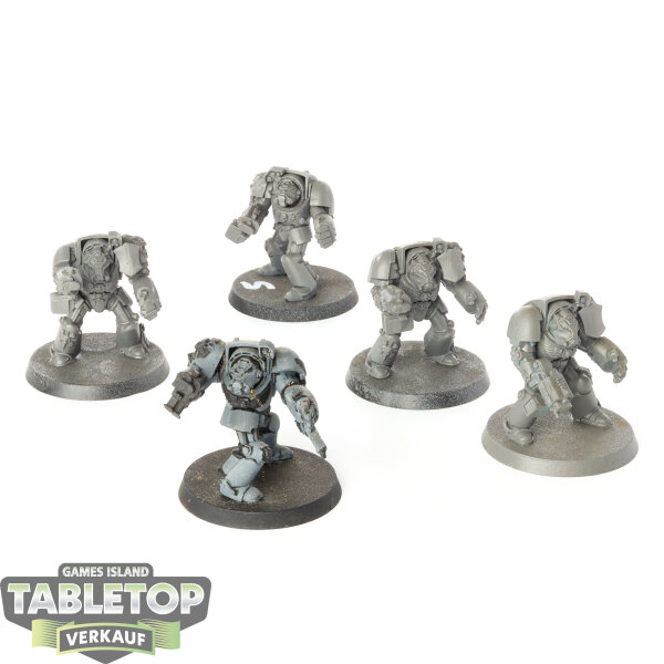 Space Marines - 5x Terminator Assault Squad - teilweise bemalt