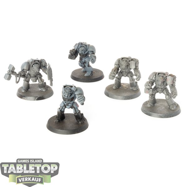 Space Marines - 5x Terminator Assault Squad - unbemalt