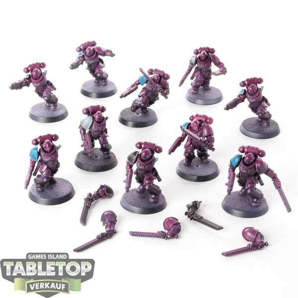 Space Marines - 10 x Assault Intercessors - teilweise bemalt