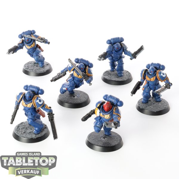 Ultramarines - 6 x Assault Intercessors - teilweise bemalt