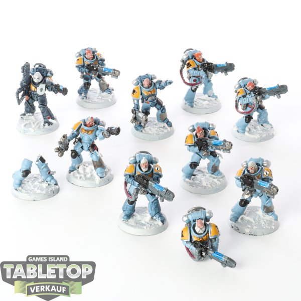 Space Wolves - 10 x Primaris Hellblasters - teilweise bemalt