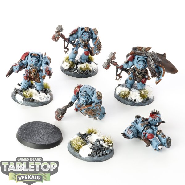 Space Wolves - 5 x Wolf Guard Terminators - bemalt