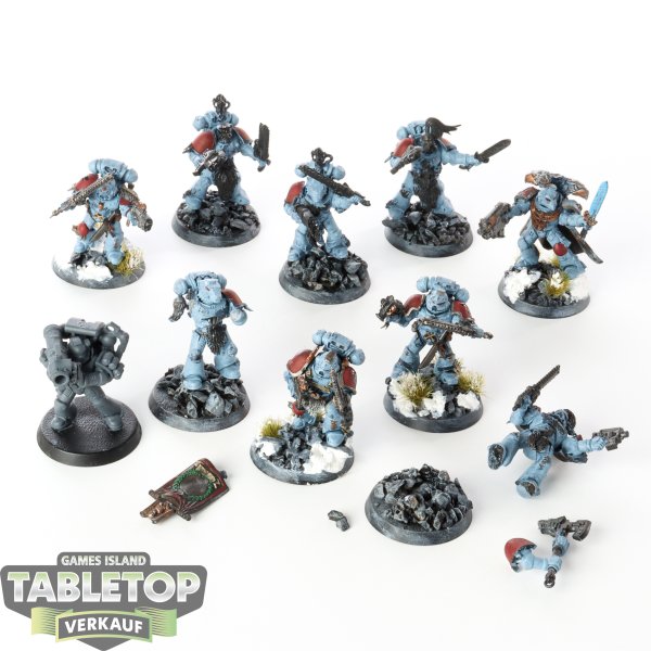 Space Wolves - 10 x Grey Hunters - teilweise bemalt