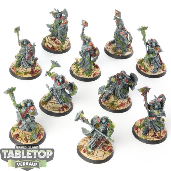 Stormcast Eternals - 10 x Sequitors - bemalt