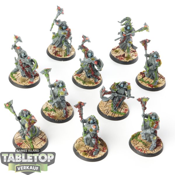 Stormcast Eternals - 10 x Sequitors - bemalt