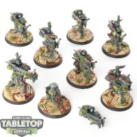 Stormcast Eternals - 8 x Judicators - bemalt