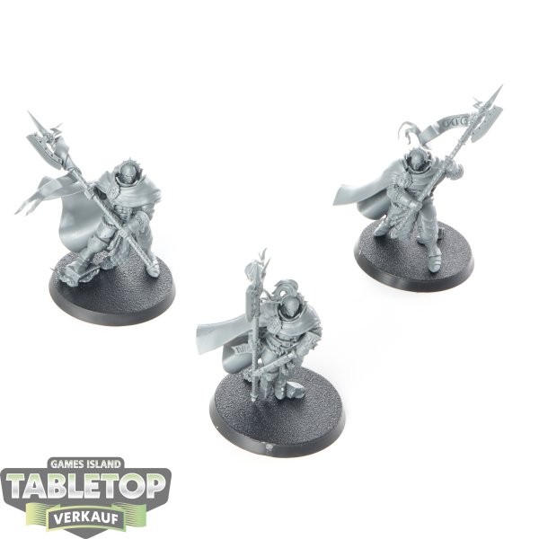 Stormcast Eternals - 3 x Praetors - unbemalt