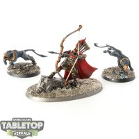 Stormcast Eternals - Knight-Judicator with Gryph-hounds -...