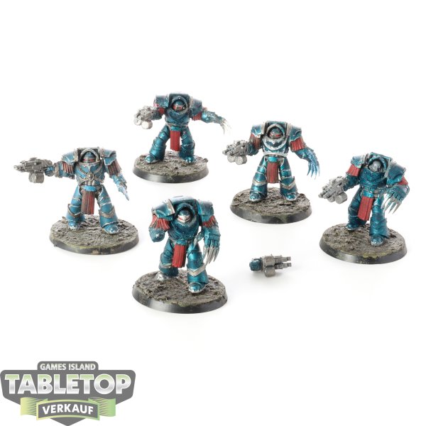 Space Marines - 5 Legion Cataphractii Terminator Squad - teilweise bemalt