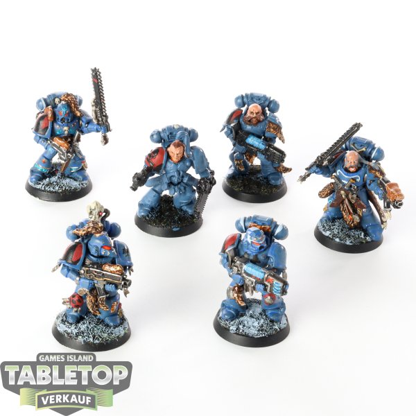 Space Wolves - 6x Grey Hunters - bemalt