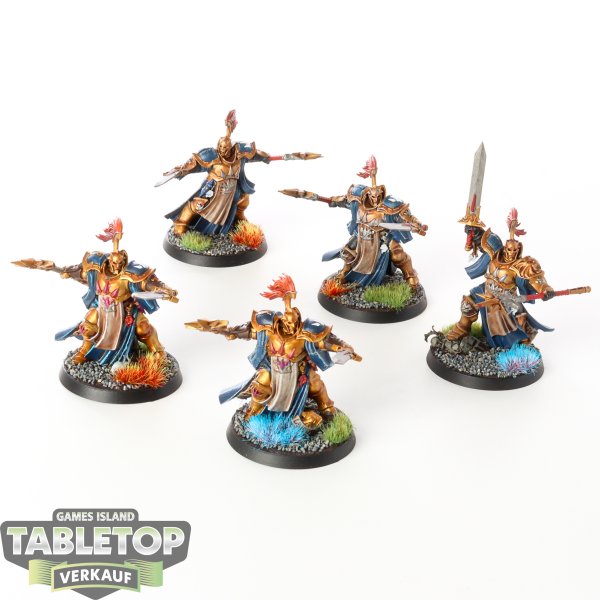 Stormcast Eternals - 5 x Evocators - bemalt