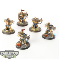 Stormcast Eternals - 5 x Judicators - bemalt