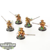 Stormcast Eternals - 5 x Protectors - bemalt