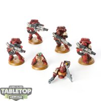 Space Marines - 5x Devastator (Classic) - bemalt