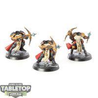 Stormcast Eternals - 3 x Castigators  - bemalt