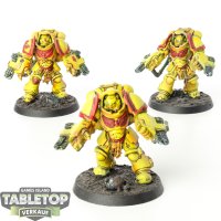 Space Marines - 3x Primaris Aggressors - bemalt